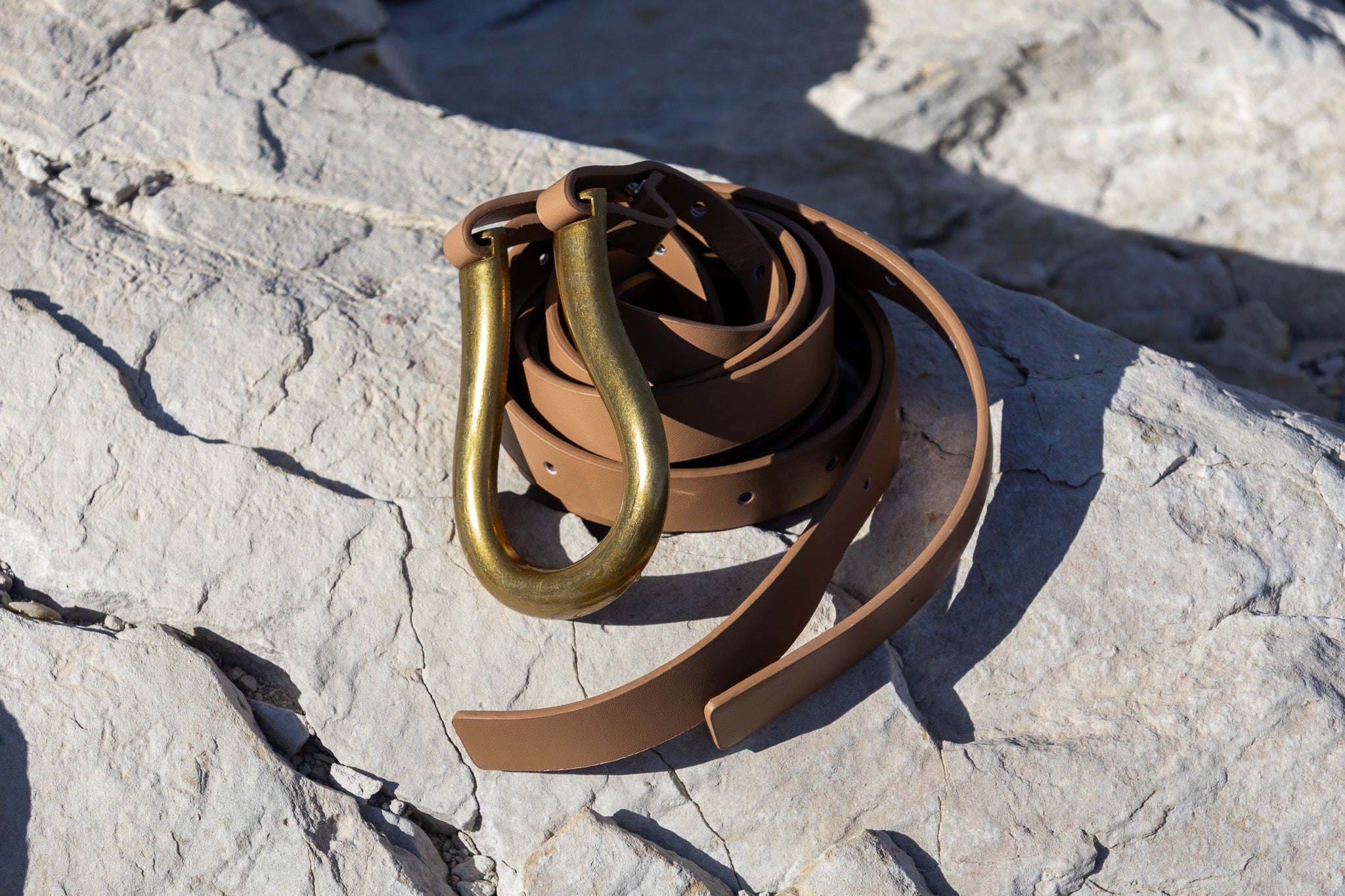 Belt with a Large Gold Buckle